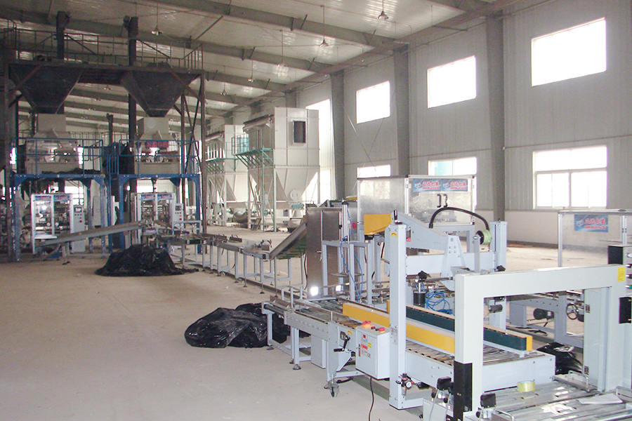 Site -ul de prelucrare a semințelor din industria semințelor din China (linie de ambalare)